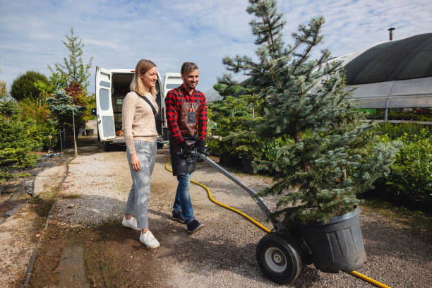 Best Emergency Storm Tree Removal  in Roebuck, SC